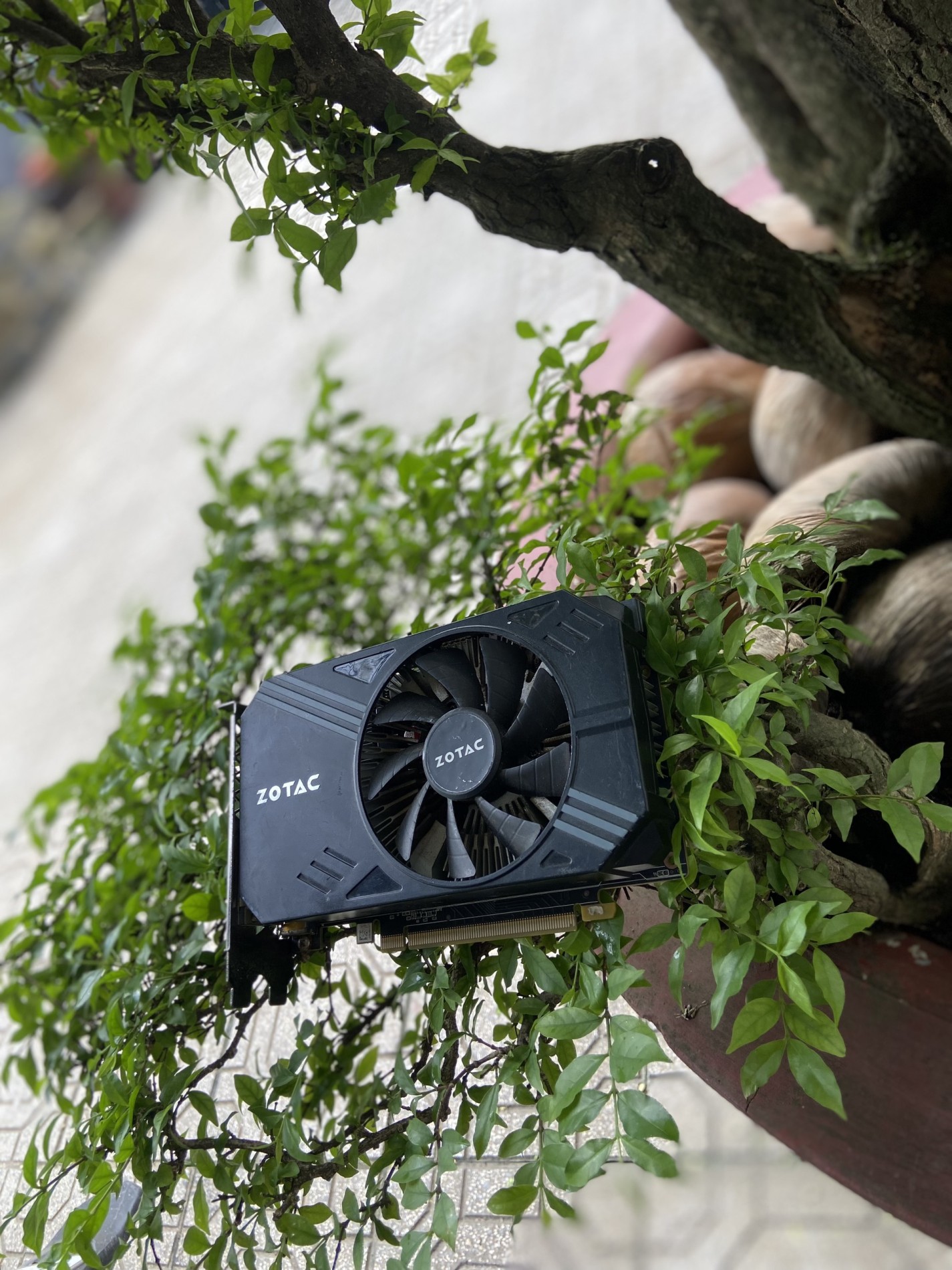 Card màn hình máy tính ZOTAC GeForce GTX 1060 3GD5 1 FAN cũ